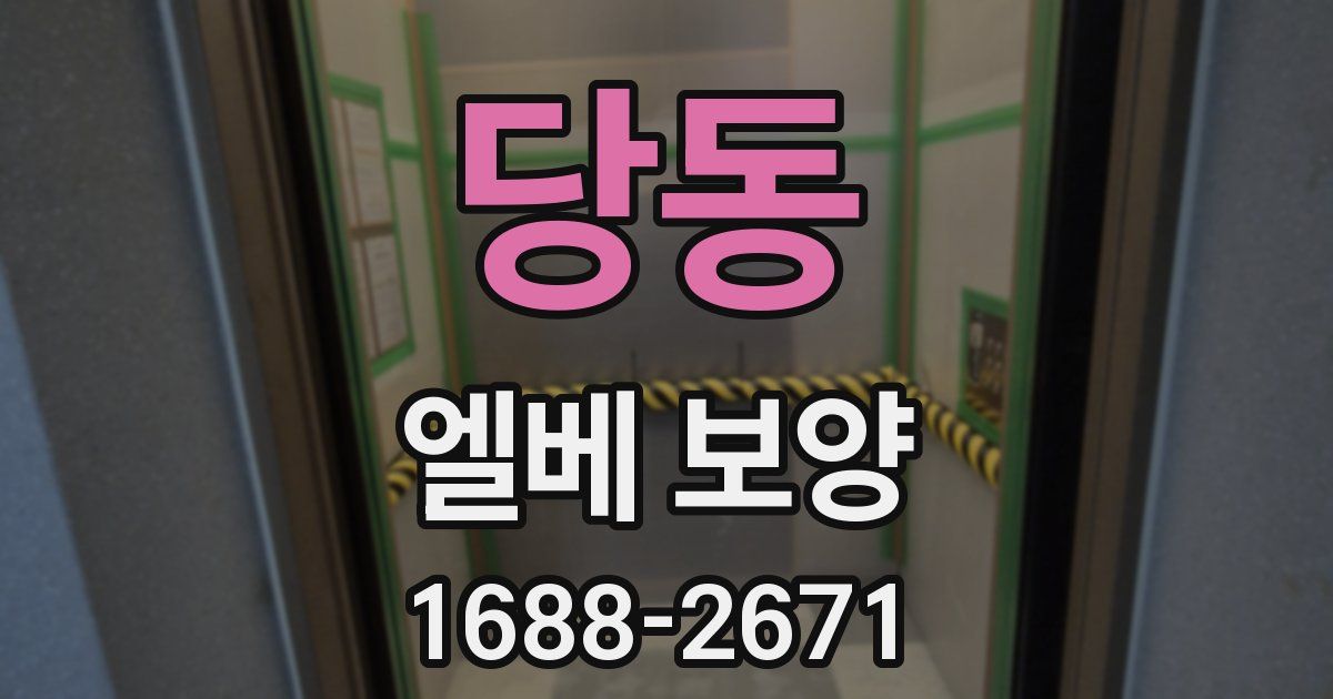 당동 엘베 보양