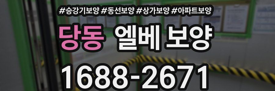 당동 엘베 보양