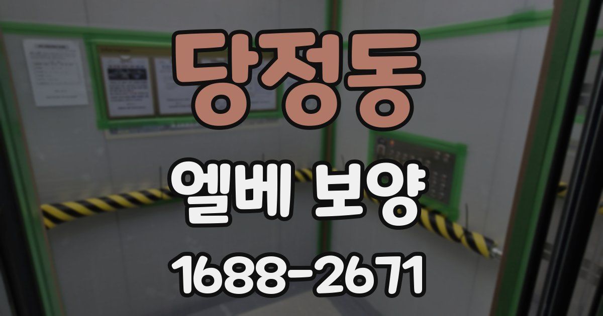 당정동 엘베 보양