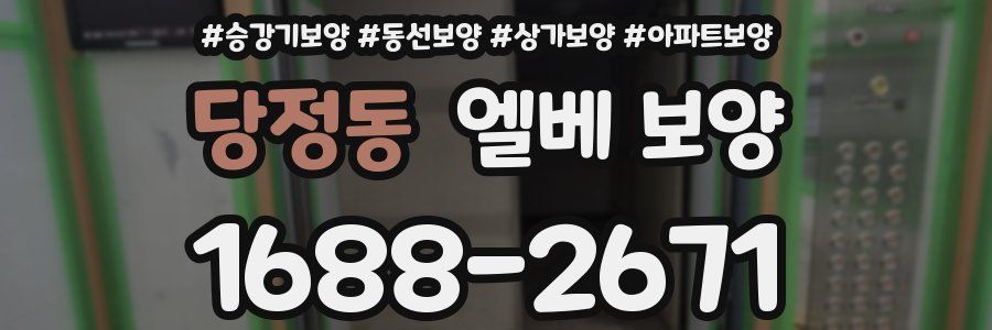 당정동 엘베 보양