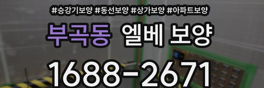 부곡동 엘베 보양