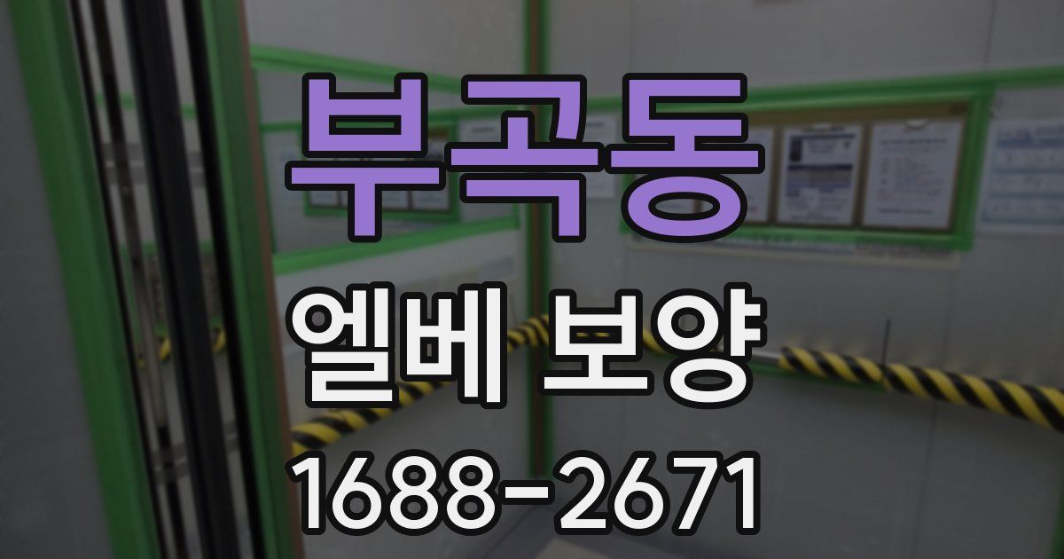 부곡동 엘베 보양