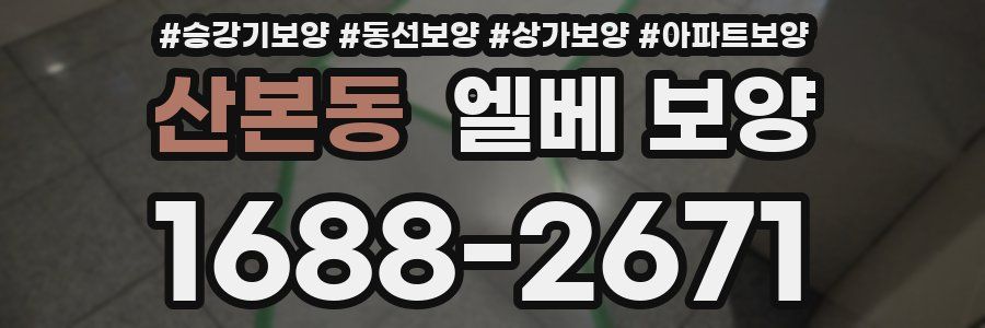 산본동 엘베 보양