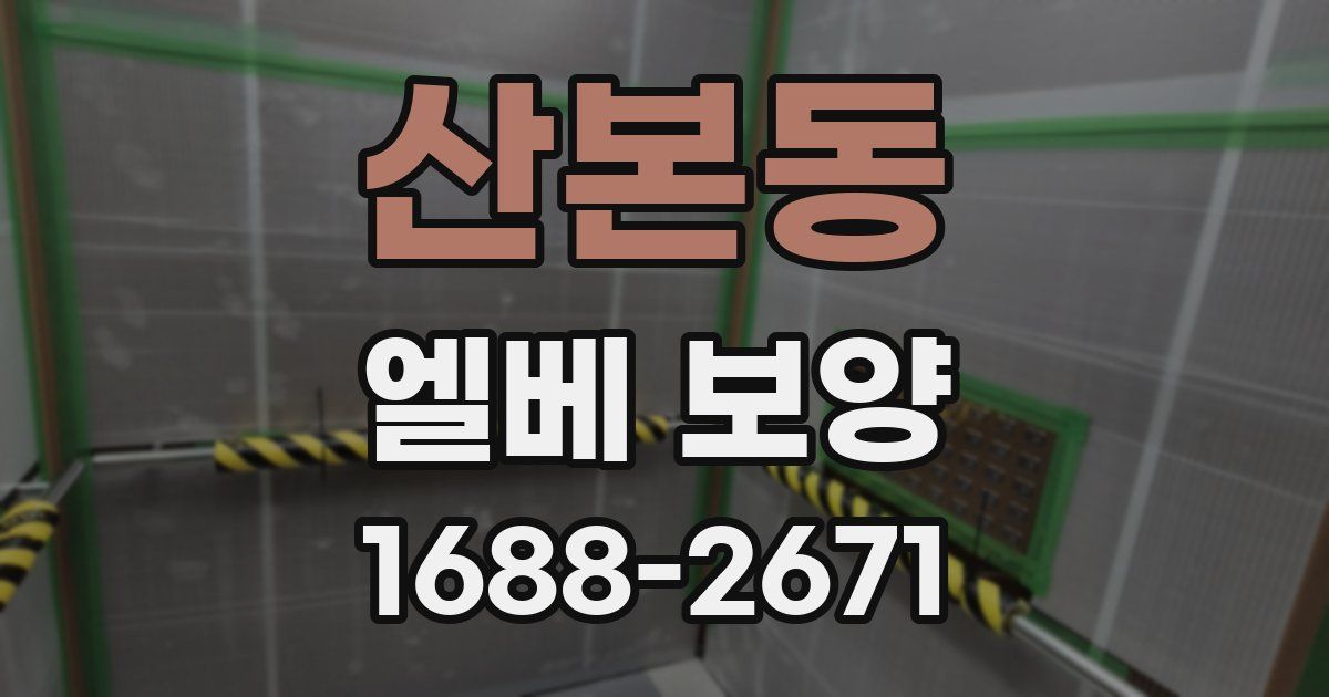 산본동 엘베 보양