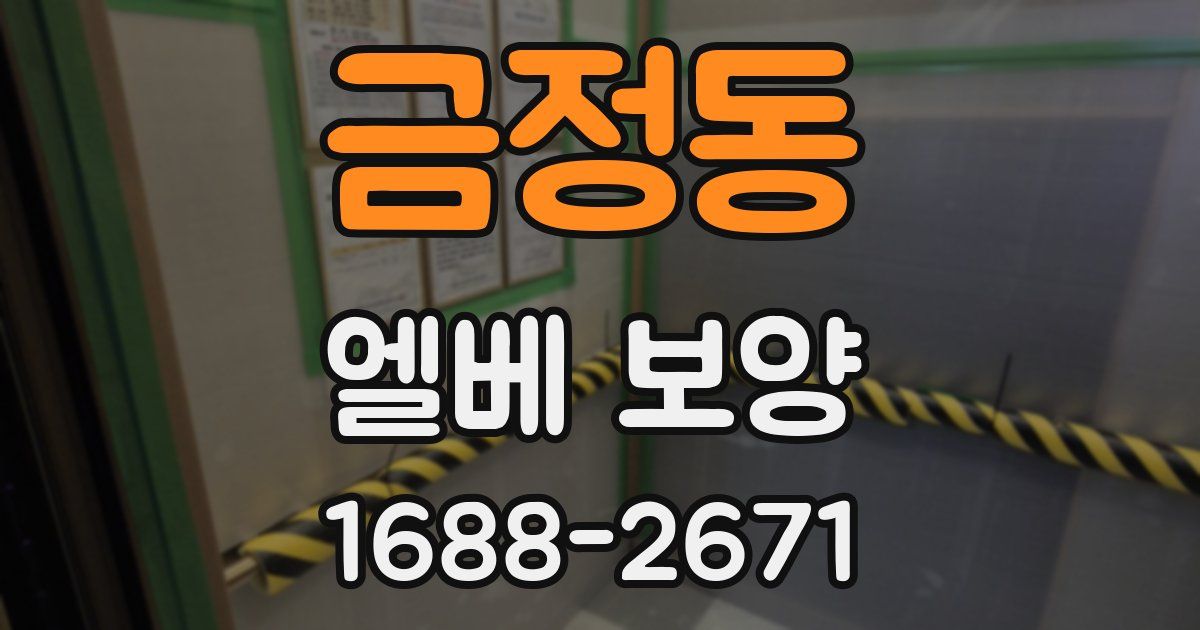 금정동 엘베 보양