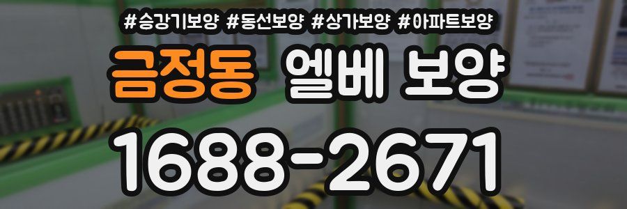 금정동 엘베 보양