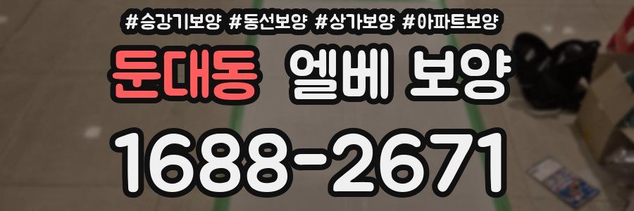 둔대동 엘베 보양
