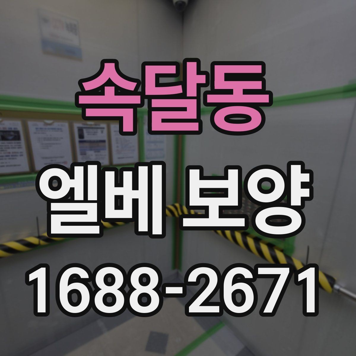 속달동 엘베 보양 시트 마감에서 자주 하는 실수와 예방