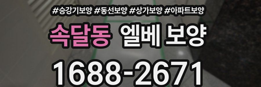 속달동 엘베 보양