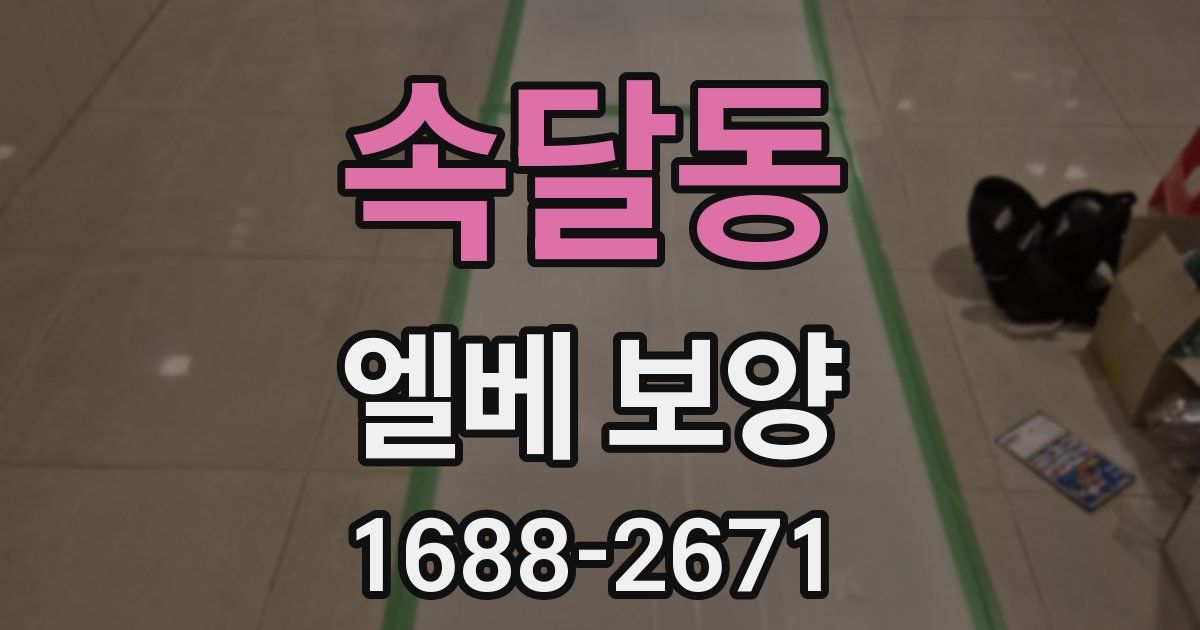 속달동 엘베 보양