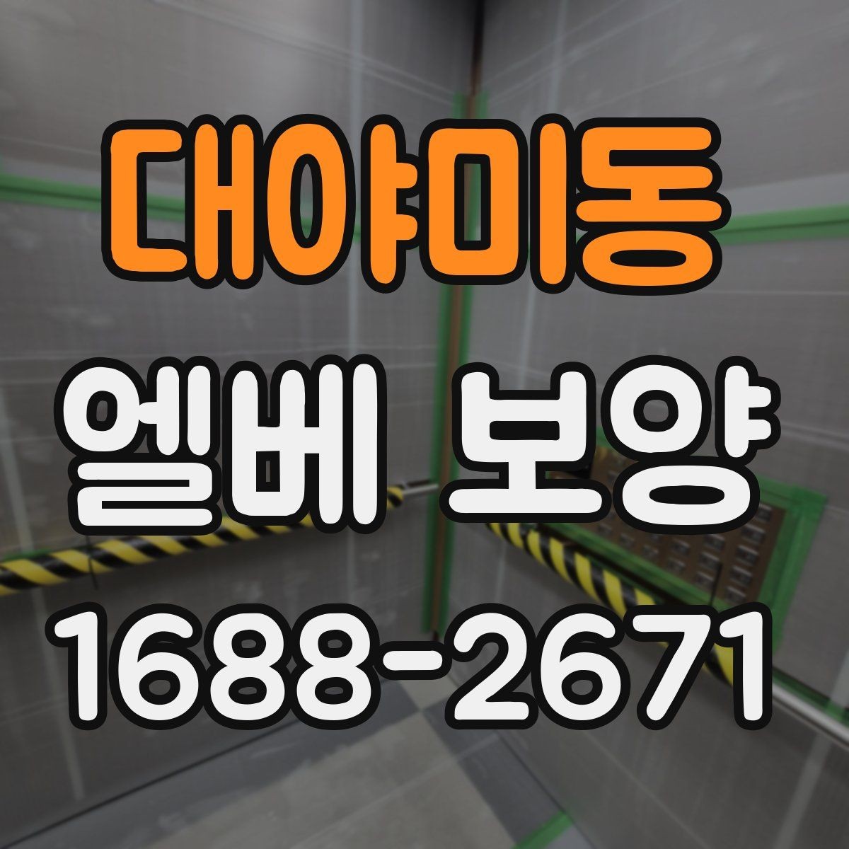 대야미동 엘베 보양 바닥 벽면 거울 자재를 나눠 쓰는 이유