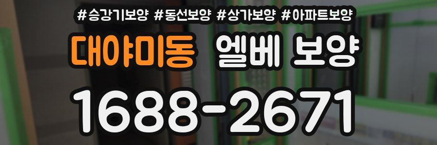 대야미동 엘베 보양