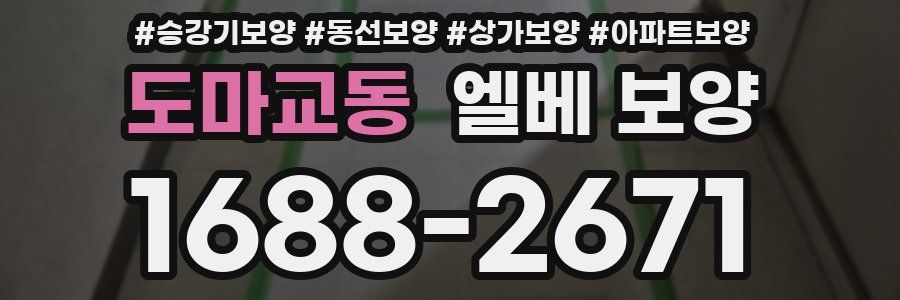 도마교동 엘베 보양