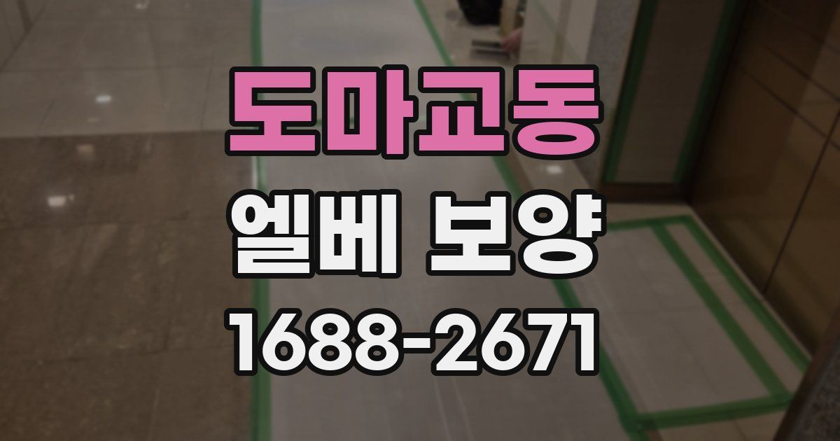 도마교동 엘베 보양