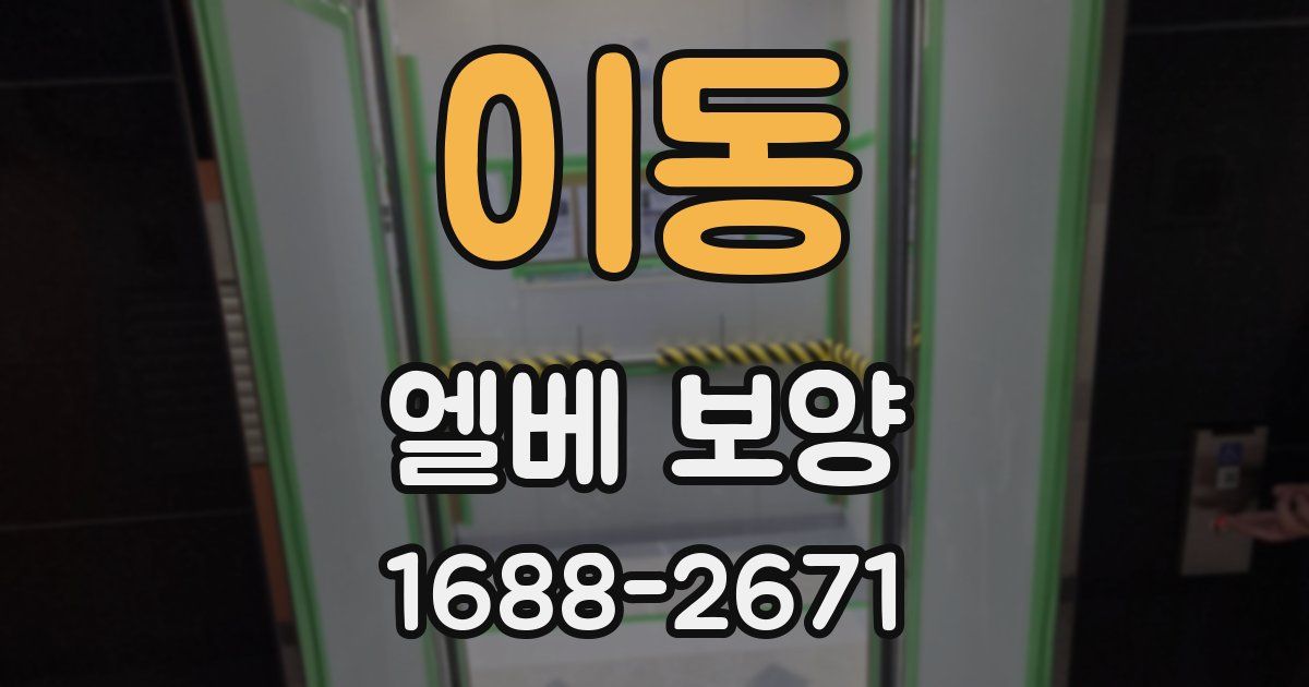 이동 엘베 보양