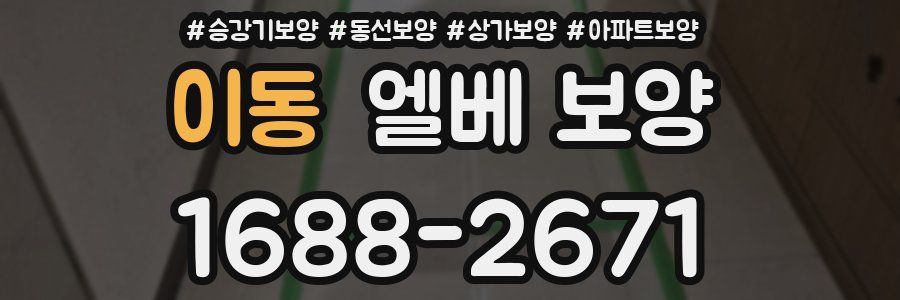 이동 엘베 보양