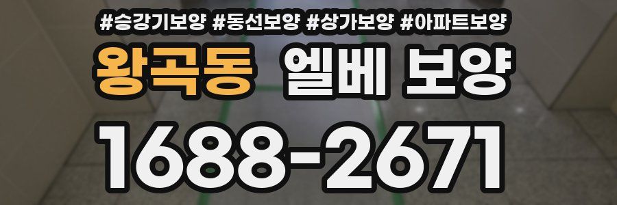 왕곡동 엘베 보양