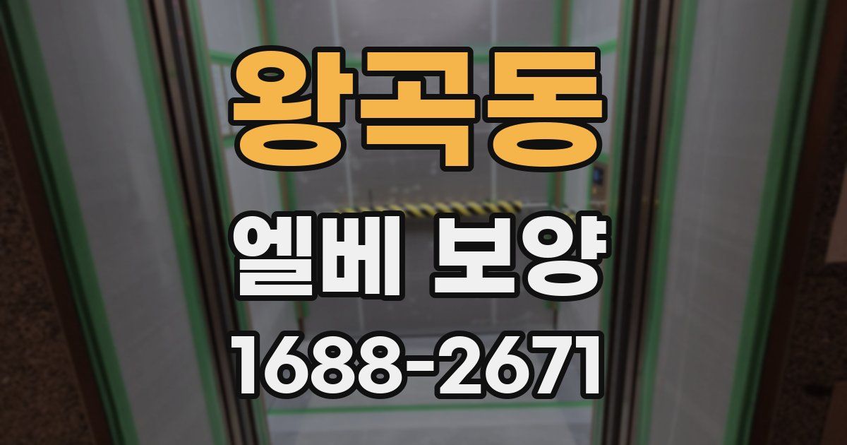 왕곡동 엘베 보양