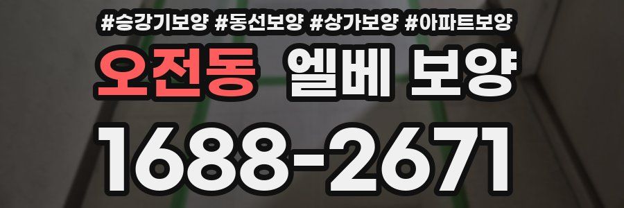 오전동 엘베 보양