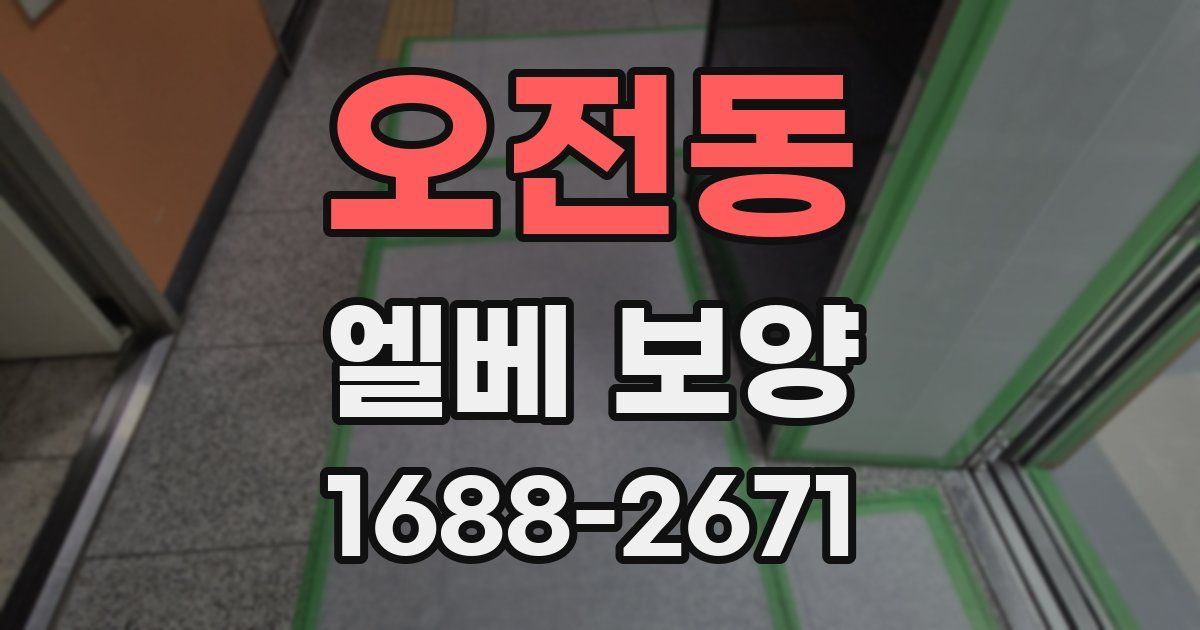 오전동 엘베 보양