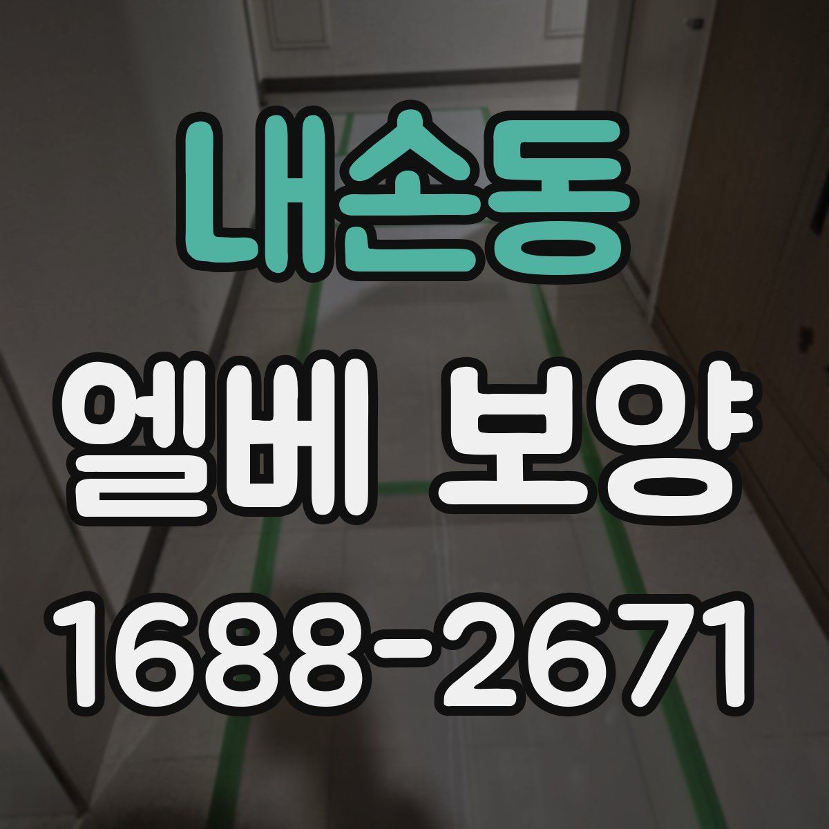 내손동 엘베 보양
