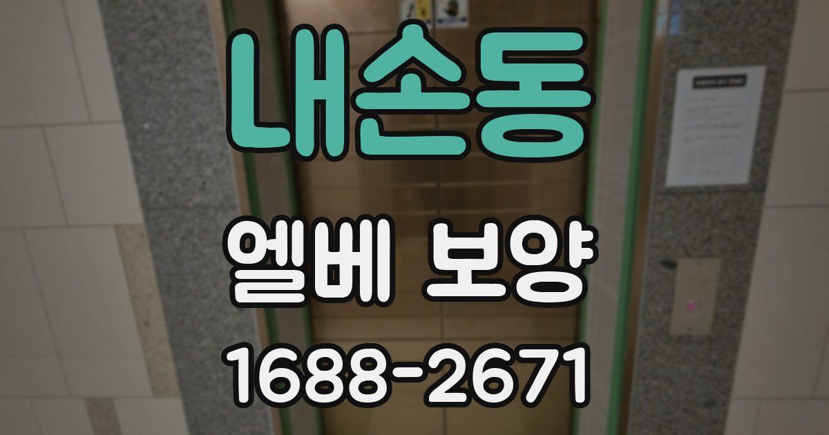 내손동 엘베 보양
