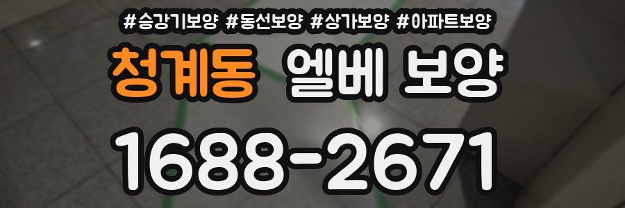 청계동 엘베 보양