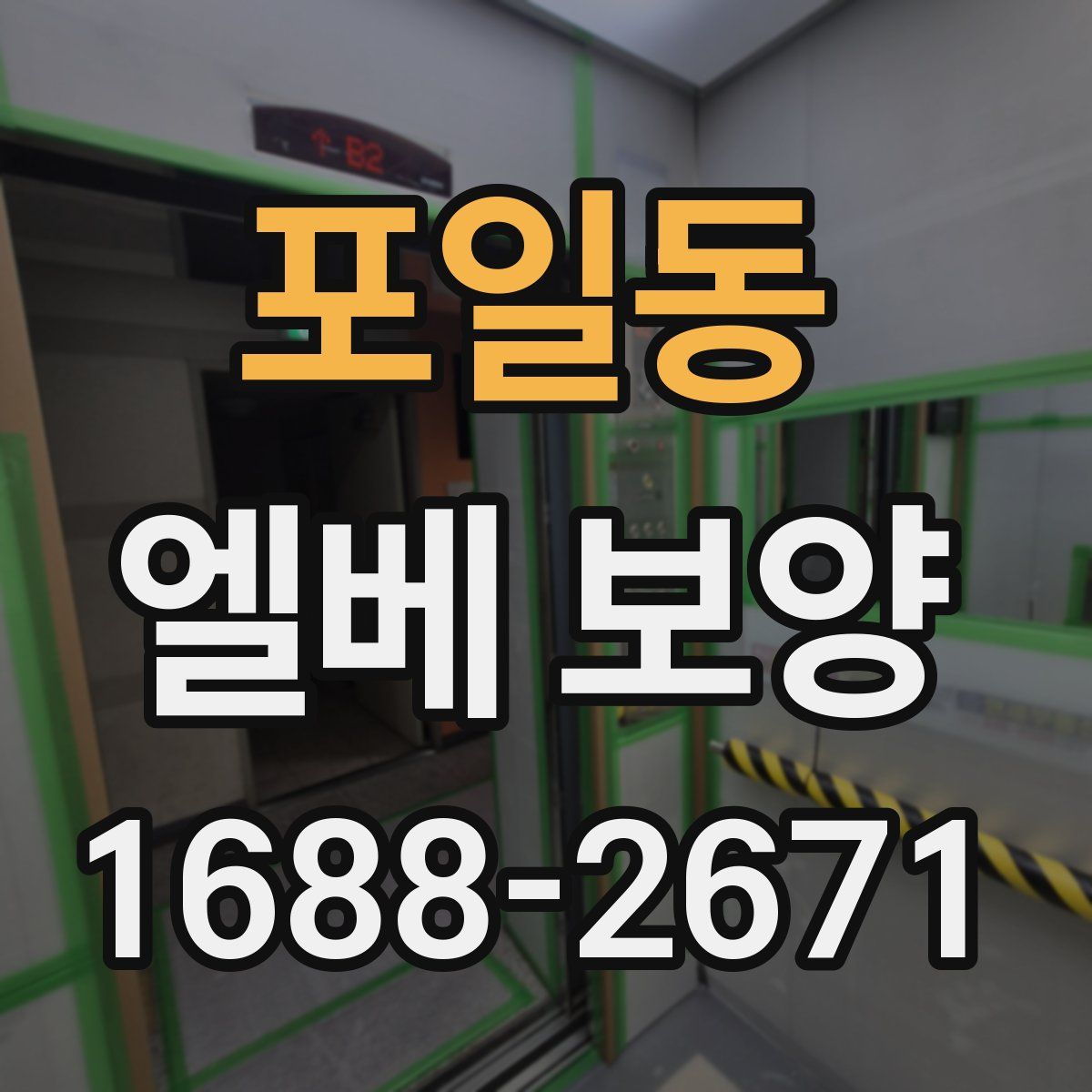 포일동 엘베 보양