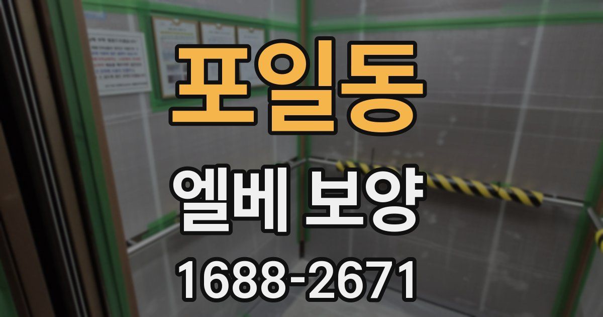 포일동 엘베 보양