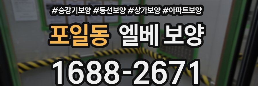 포일동 엘베 보양