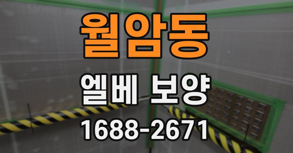 월암동 엘베 보양