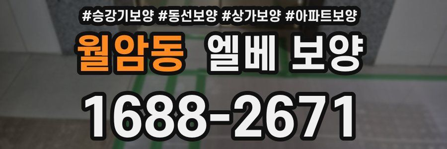 월암동 엘베 보양
