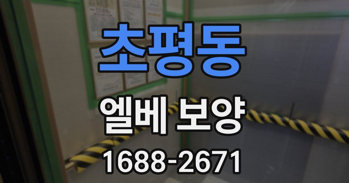 초평동 엘베 보양
