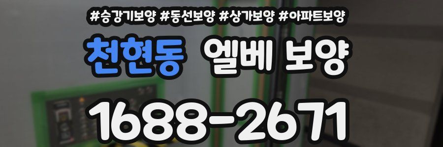 천현동 엘베 보양