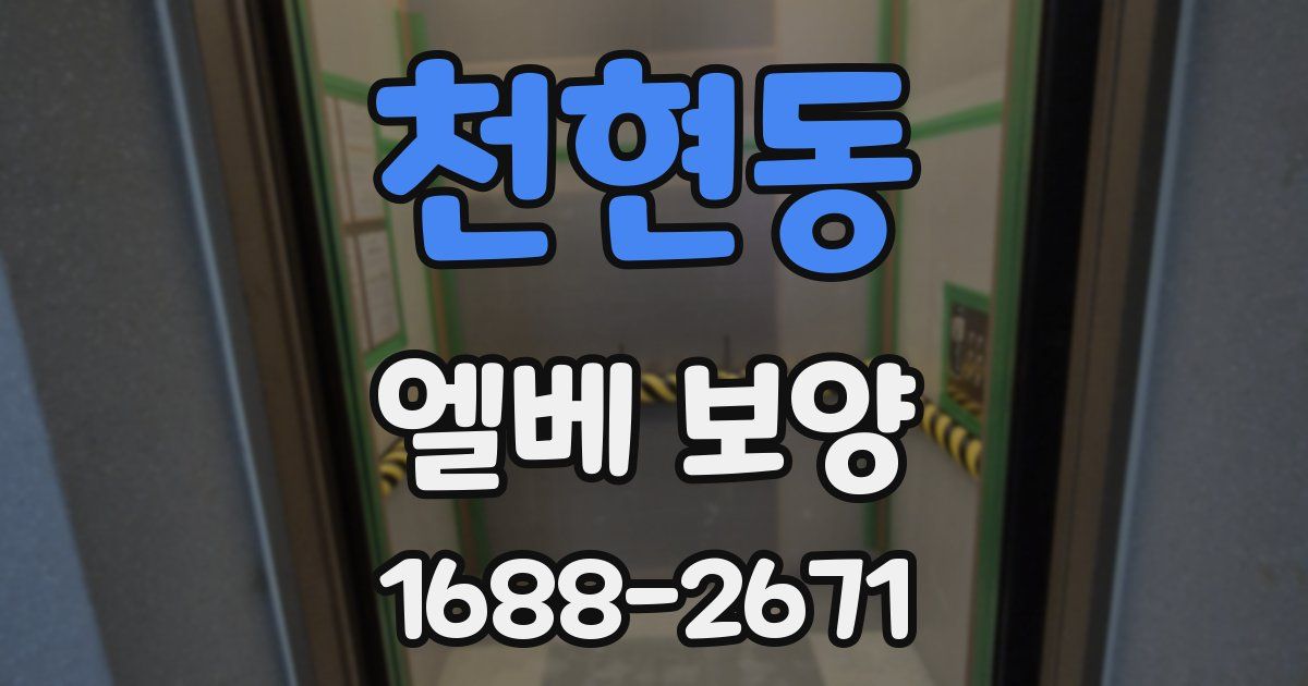 천현동 엘베 보양