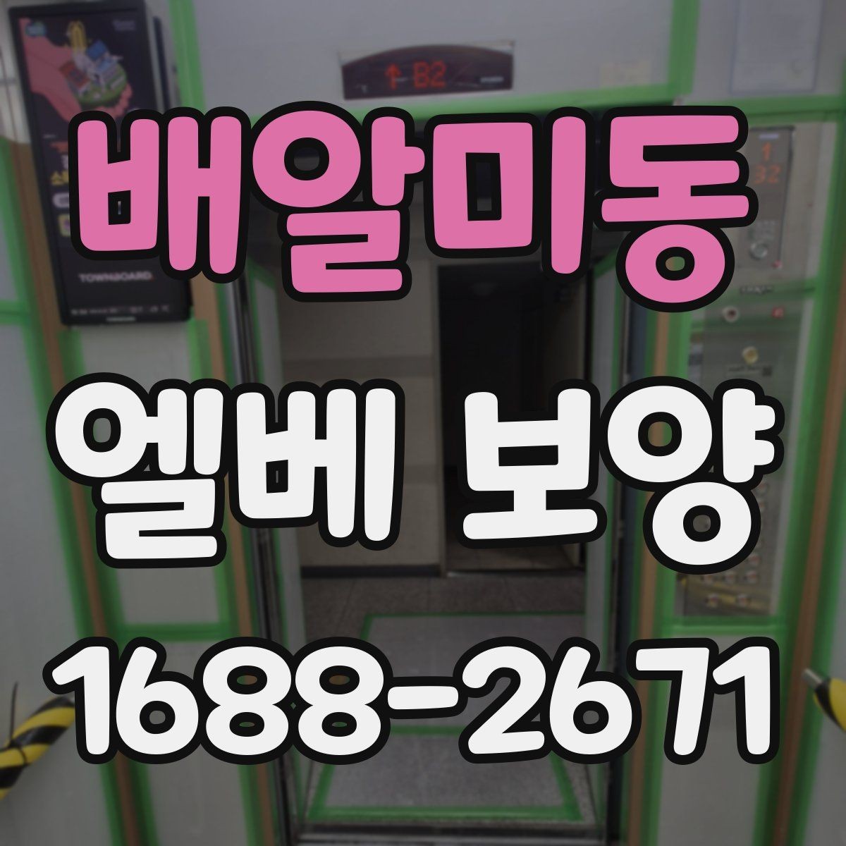 배알미동 엘베 보양 자재 종류별 쓰임과 현장 선택 기준