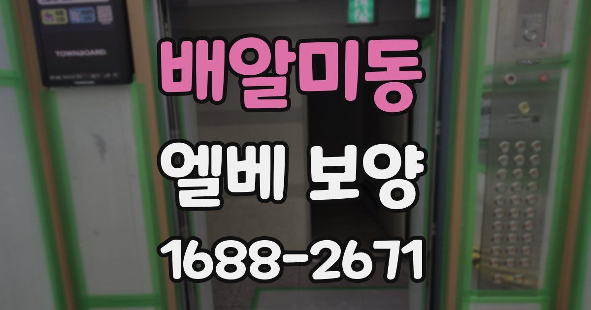 배알미동 엘베 보양