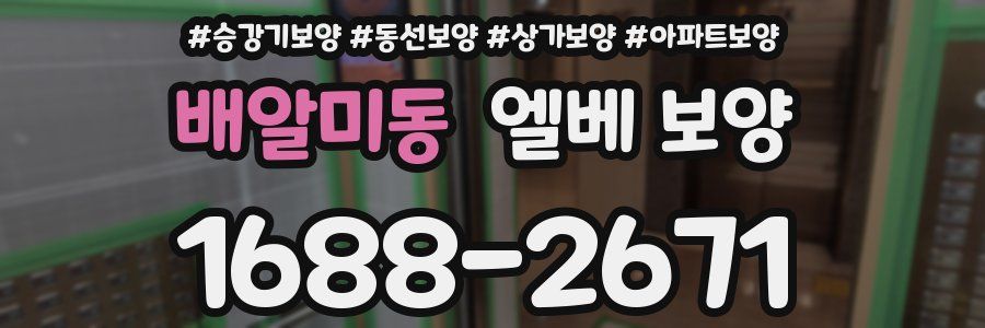 배알미동 엘베 보양