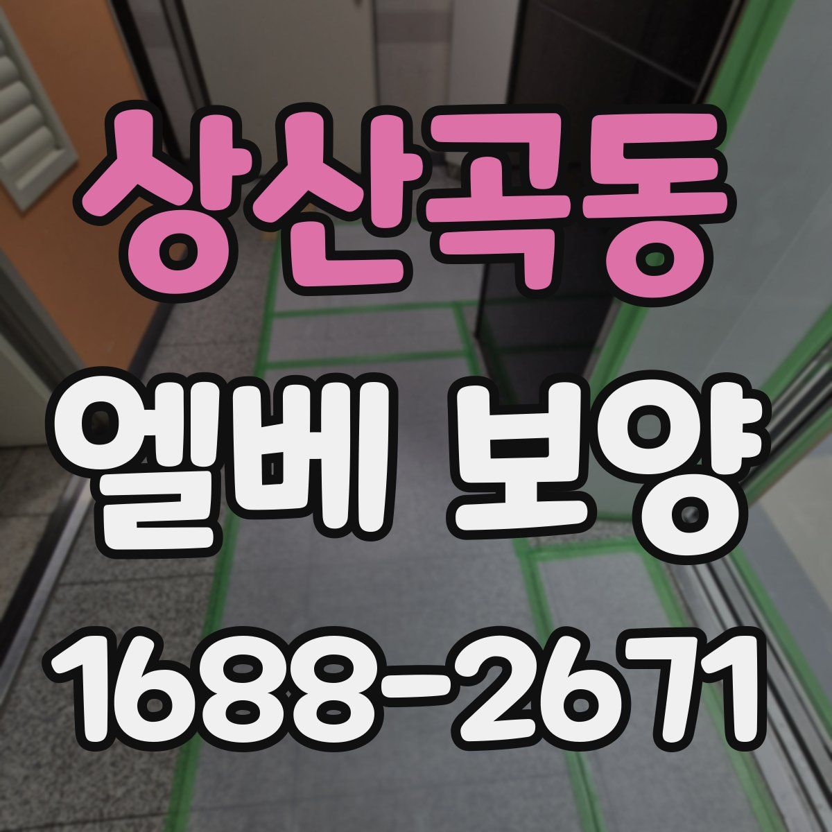 상산곡동 엘베 보양