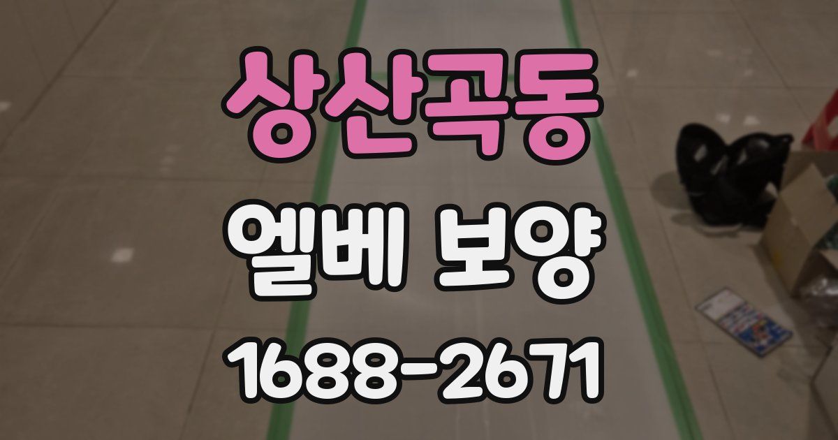 상산곡동 엘베 보양