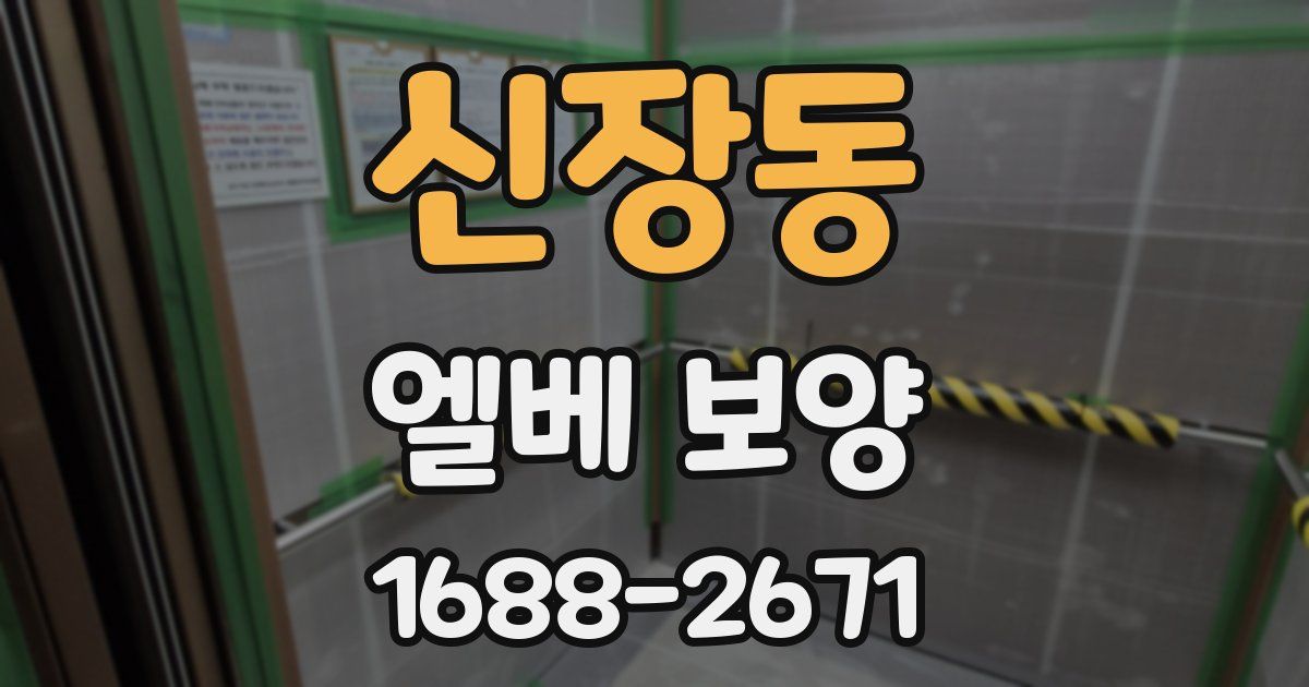 신장동 엘베 보양