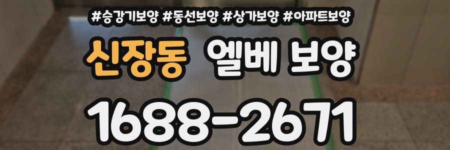 신장동 엘베 보양