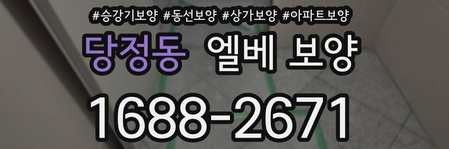 당정동 엘베 보양