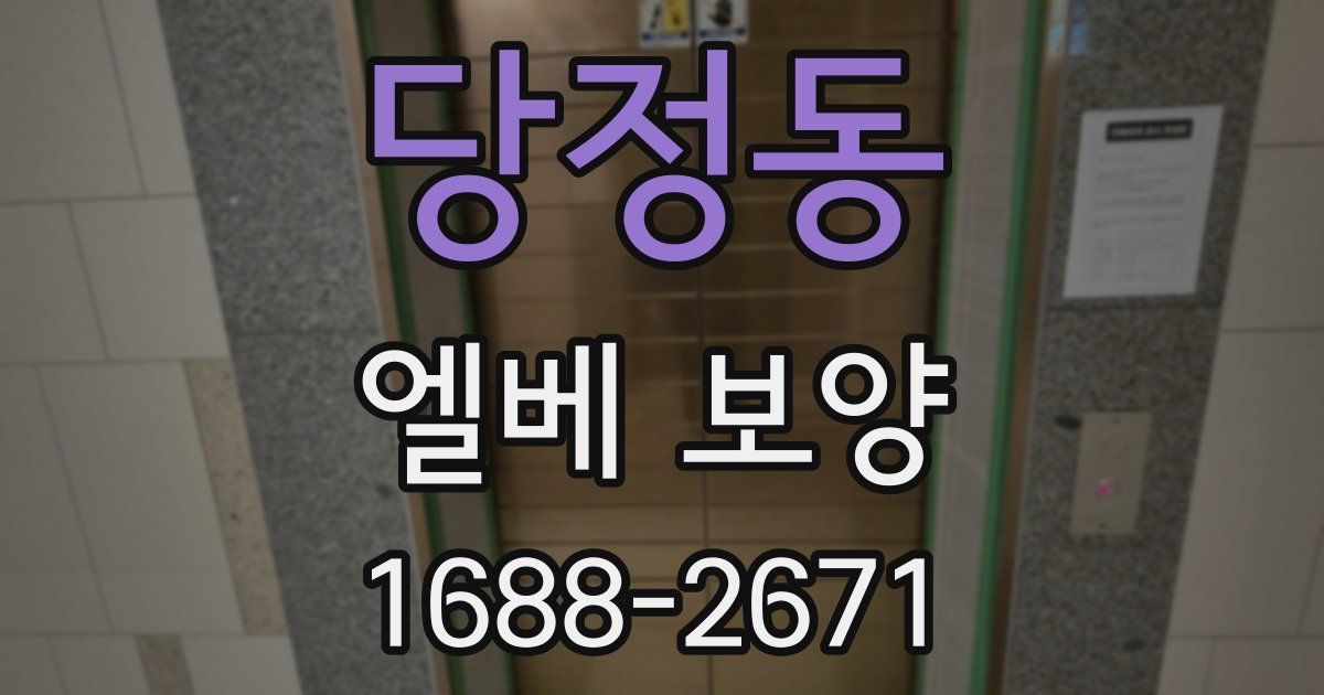 당정동 엘베 보양