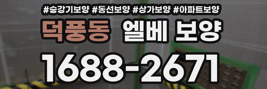 덕풍동 엘베 보양