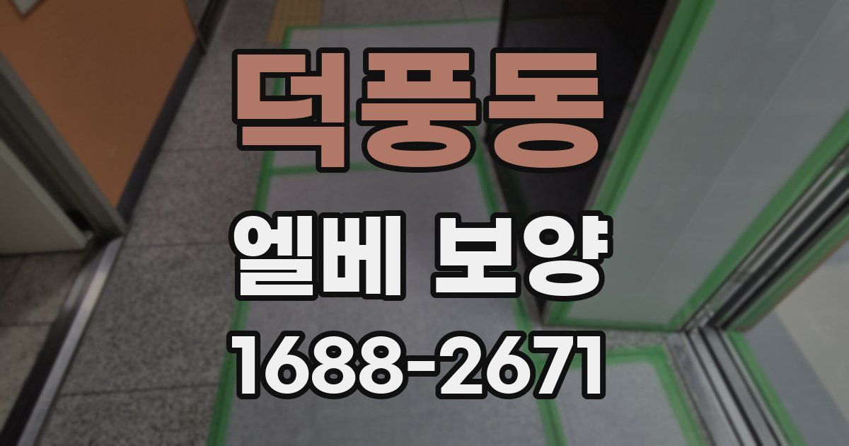 덕풍동 엘베 보양