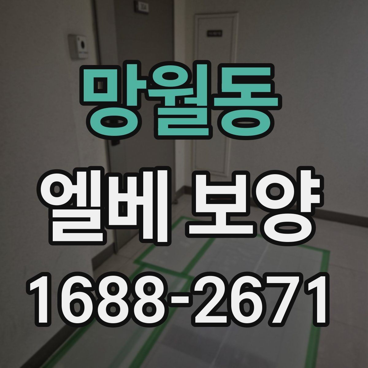 망월동 엘베 보양 공사 현장별 우선순위 정리