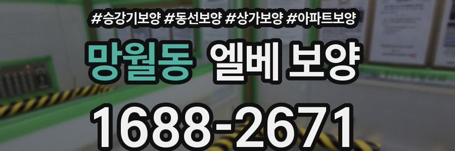 망월동 엘베 보양