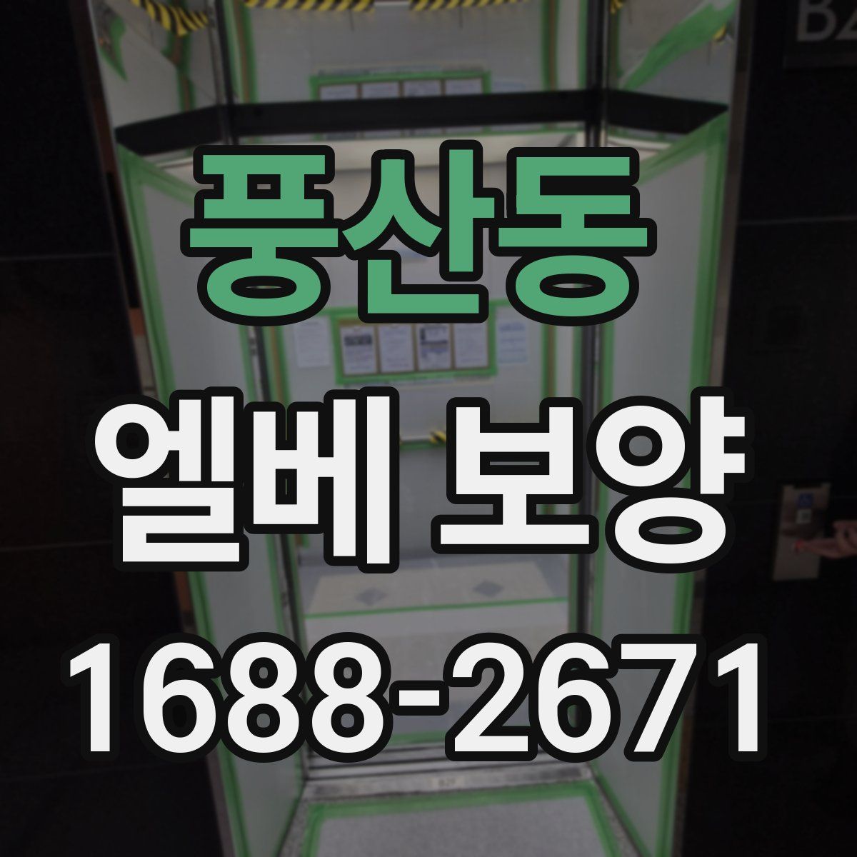 풍산동 엘베 보양