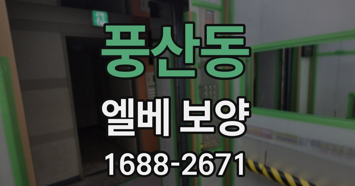 풍산동 엘베 보양